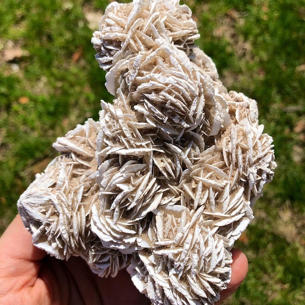 Raw Desert Rose Selenite Cluster - Raw Gypsum Desert Rose Cluster - Rough Selenite Rose - Raw Selenite Crystal - Natural Sand Rose Selenite