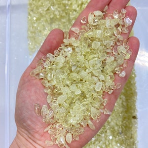 May include: A hand holding a pile of small, translucent, light yellow citrine crystals. The crystals are tumbled and have a smooth, polished finish.