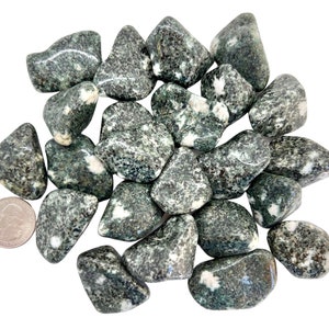 Preseli Bluestone Tumbled Stone - Multiple Sizes Available - Tumbled Preseli Bluestone Crystal - Polished Stonehenge Crystal - Green Crystal