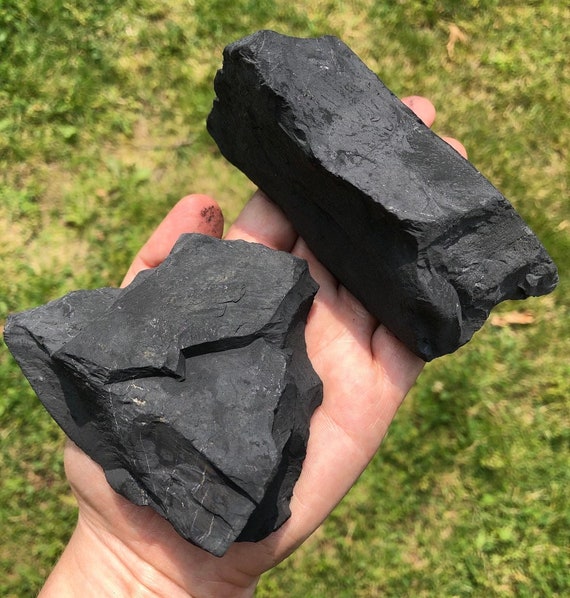 Piedras de Shungita Trozos naturales crudos de Rusia Piedra de Shungita  para purificación de agua, protección EMF, desintoxicación -  México