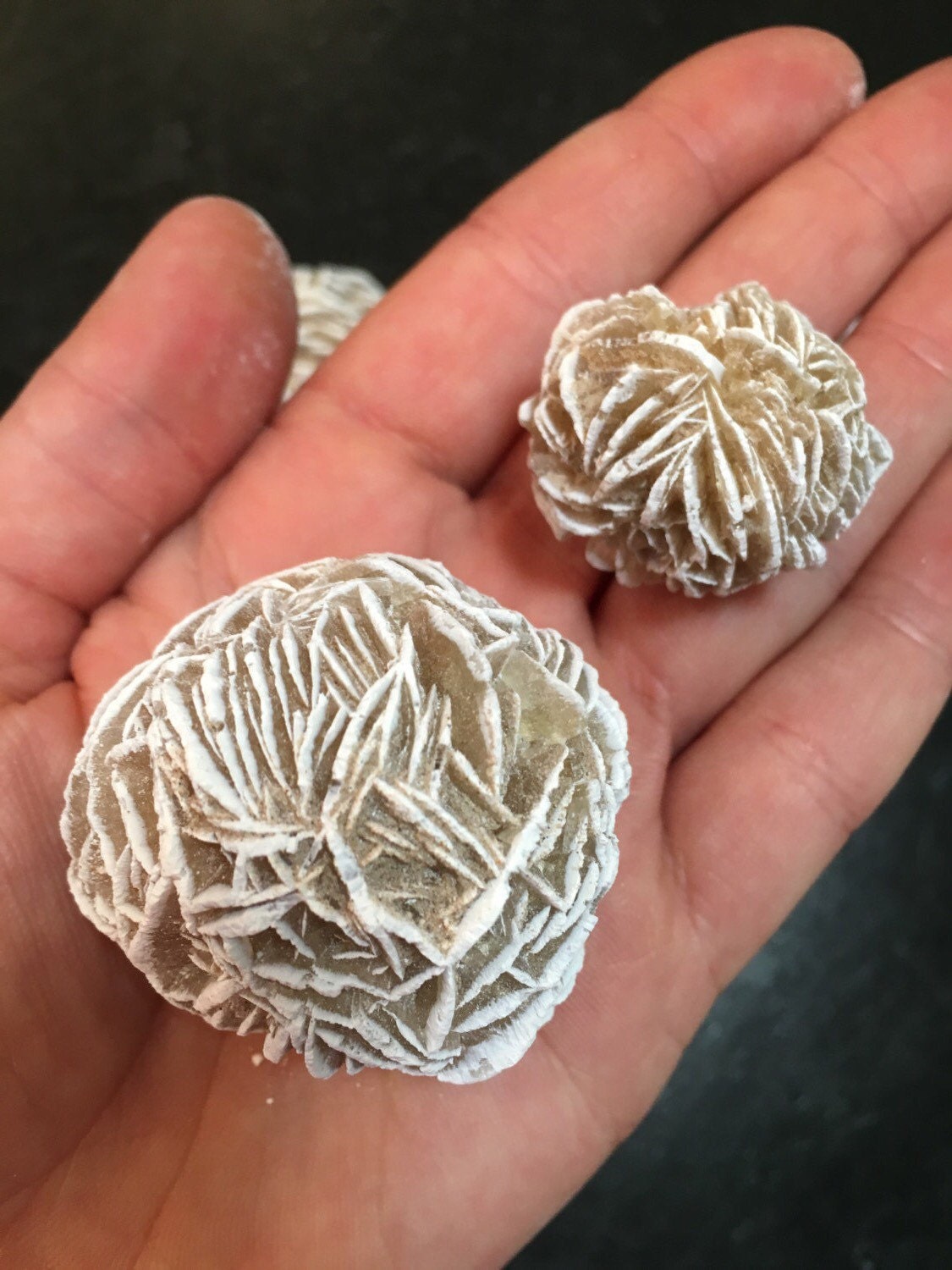 Raw Desert Rose Selenite Selenite Rose Cluster Natural Etsy