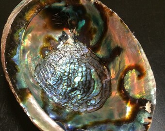 abalone shell - large abalone shell - smudge bowl - smudge - rainbow abalone shell