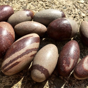 Shiva Lingam Tumbled Stone - Multiple Sizes Available - Tumbled Shiva Lingam Egg - Shiva Lingam Polished Crystal - India - Natural Crystal