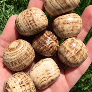 May include: A collection of eight tumbled brown and beige banded agate stones. The stones are smooth and polished, with a variety of patterns and textures.