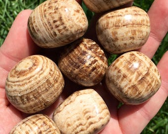 Brown Aragonite Tumbled Crystal - Multiple Sizes Available - Tumbled Aragonite Stone - Banded Aragonite - Polished Brown Aragonite