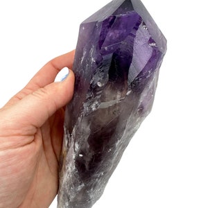 Large Raw Amethyst Crystal Point with Root (4.5&quot; - 9&quot;) - Bahia Amethyst Dragon Tooth - High Quality Amethyst Dragon Teeth from Bahia, Brazil