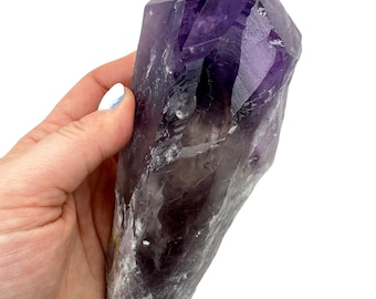 Grande punta di cristallo di ametista grezza con radice (11,4-23 cm) - Dente di drago in ametista di Bahia - Denti di drago in ametista di alta qualità provenienti da Bahia, Brasile