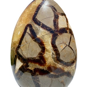 Septarian Tower - Septarian Crystal Free Form - Large Septarian Stone Tower - Polished Septarian Freeform - Septarian Crystal Specimen - #3