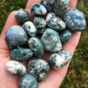 Tree Agate Tumbled Stone - Multiple Sizes Available - Tumbled Tree Agate Crystal - Polished Tree Agate Gemstone - Green Crystal image 3