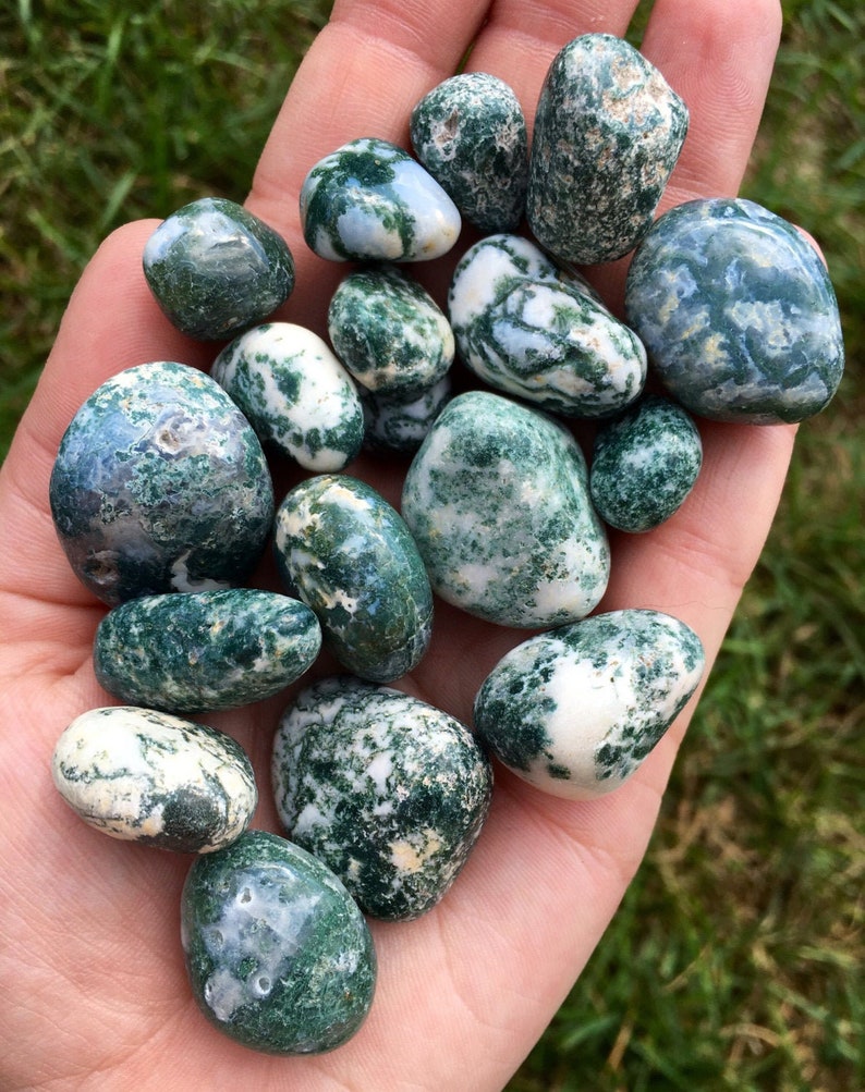 Tree Agate Tumbled Stone - Multiple Sizes Available - Tumbled Tree Agate Crystal - Polished Tree Agate Gemstone - Green Crystal image 3