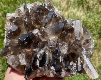 Raw Smoky Quartz Cluster - Large Smoky Quartz Crystal - Raw Smoky Quartz Points - Rough Crystal Cluster - Raw Smoky Quartz Specimen - 44