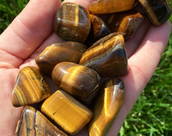 Tigers Eye Tumbled Stone - Multiple Sizes Available - Tumbled Tiger Eye Crystal  - Polished Gold Tiger Eye Gemstone - Yellow Tiger Eye Stone