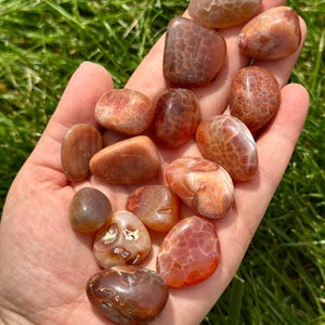 May include: A collection of polished, tumbled stones in shades of orange, brown, and cream. The stones vary in size and shape, with smooth, rounded edges. Some stones have intricate patterns and textures, held in an open hand against a backdrop of green grass.