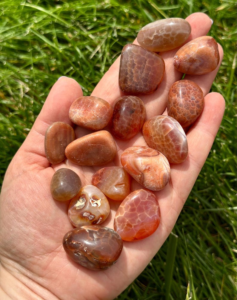 May include: A collection of polished, tumbled stones in shades of orange, brown, and cream. The stones vary in size and shape, with smooth, rounded edges. Some stones have intricate patterns and textures, held in an open hand against a backdrop of green grass.