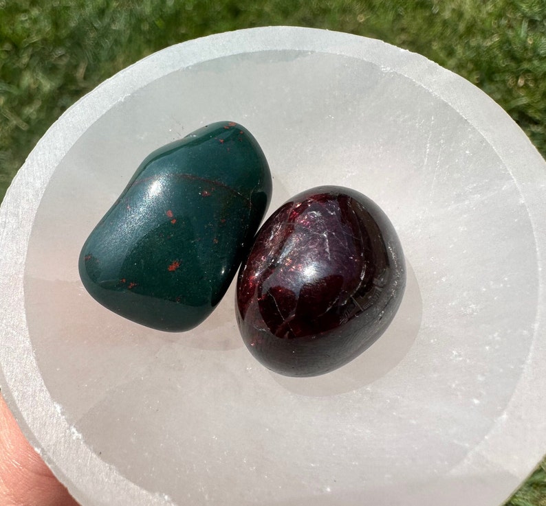 Bloodstone & Garnet Crystal Set Strength and Healing Tumbled Bloodstone Tumbled Garnet Root Chakra Crystal Kit Protection Stones image 5