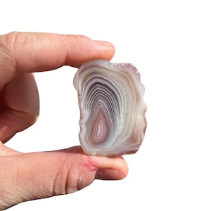 Botswana Agate Stone Slice (0.75&quot; -4&quot;) Grade A Botswana Agate Stone Slab - Botswana Agate Crystals and Stones - Botswana Agate Crystal Slice
