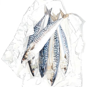 Mackerel Card, British Seafood Notecard, Fish Birthday Card for Food Lover / Fisherman, Any Occasion Card