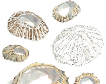 May include: A collection of seven seashells in various shapes and sizes. The shells are a mix of white, brown, and beige with intricate details.
