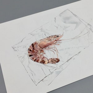 Tiger Prawn Print, Seafood Poster, Watercolour Shrimp Illustration, Pink Kitchen Art, Nautical Art Print, Food Lover Gift image 2