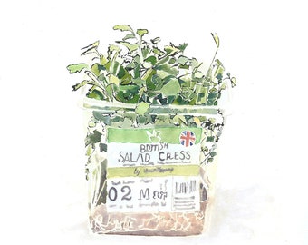 British Salad Cress. Print of an Original Watercolour Painting. Food Illustration. Green Kitchen Art. Anniversary Gift for Food Lover.