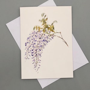 white greetings card with arching branch of purple wisteria flowers and young green leaves.