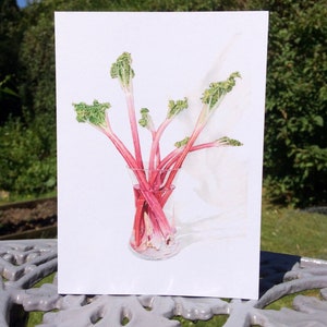 Carte de voeux rhubarbe - Carte de légumes-cadeau pour jardinier