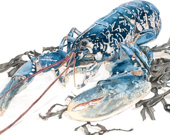 Lobster with Seaweed Print, Watercolour Lobster, Blue Beach House Decor, Nautical Kitchen Art, British Seafood Poster, Food Lover Gift