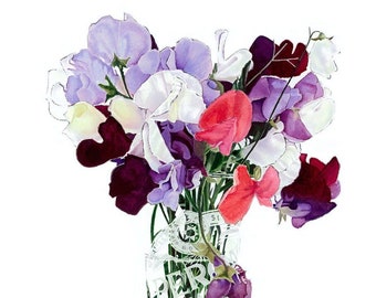 Sweet Peas in a Peroni Glass. Giclee Print of Watercolour Flower Painting. Botanical Art. Gift for Mother's Day. Garden Flowers