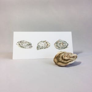 Oyster Shell Card, Any Occasion Card, Pearl Anniversary Card, Seashell Notecard, Birthday Card for Food Lover