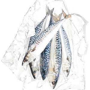 Mackerel. Print of an Original Watercolour Painting. Blue Kitchen Wall Art. Gift for Food Lover.