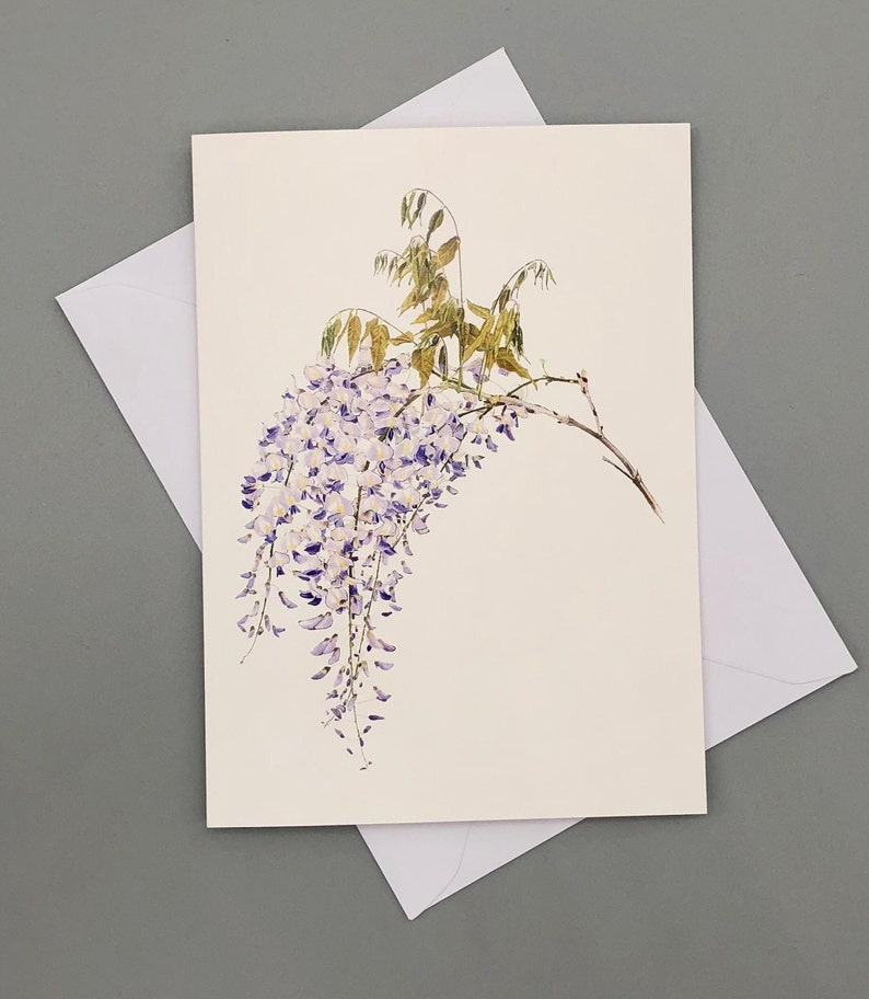 white greetings card with arching branch of purple wisteria flowers and young green leaves.