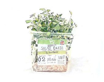 Salad Cress. Giclee Print of a Watercolour Painting. Green Kitchen Decor. Food Illustration. Anniversary Gift for Food Lover.