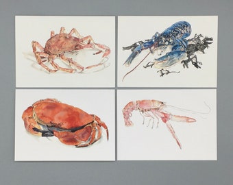 Set of 4 Seafood Notecards - Spider Crab, Lobster, Crab, Langoustine, Any Occasion Card, Fisherman / Food Lover Gift