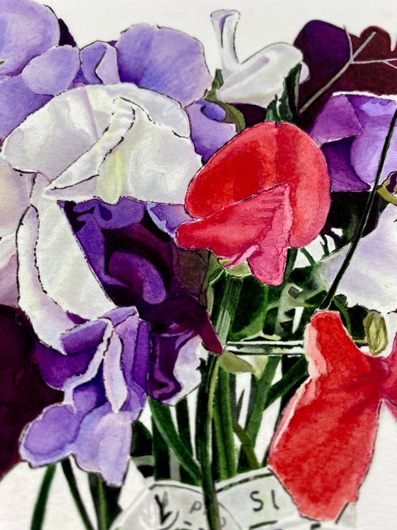 detail of watercolour painting of sweet pea flowers
