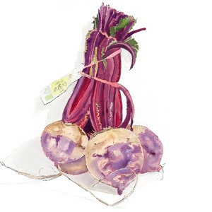 May include: A bunch of red beets with green leaves tied together with a pink rubber band and a green and white label that says "Organic". The beets are sitting on a white surface.