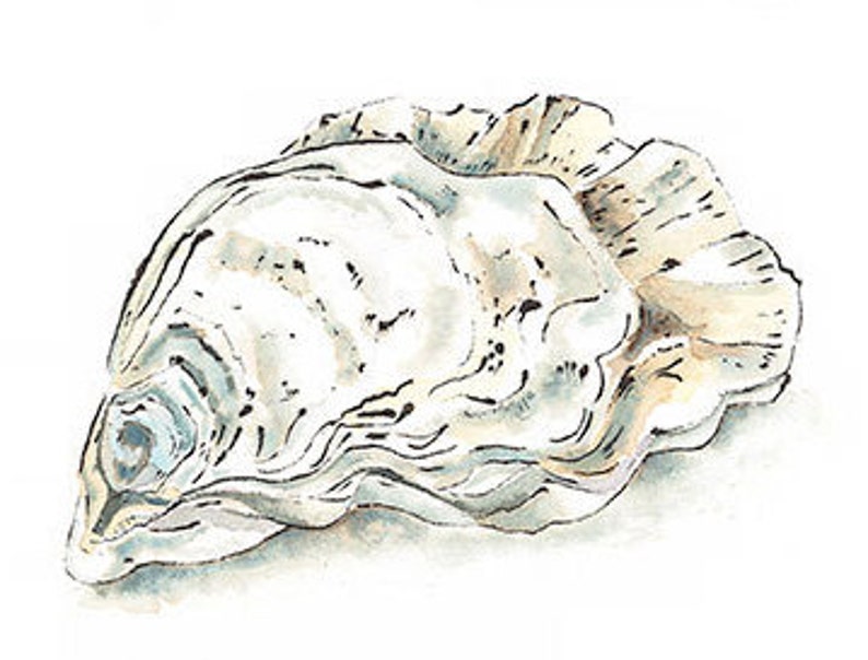 Oyster Shell Print, Watercolour Seashells Poster, Oysters Kitchen Art, Pearl Anniversary Gift, Cream Wall Art, Nautical Bathroom Decor image 3
