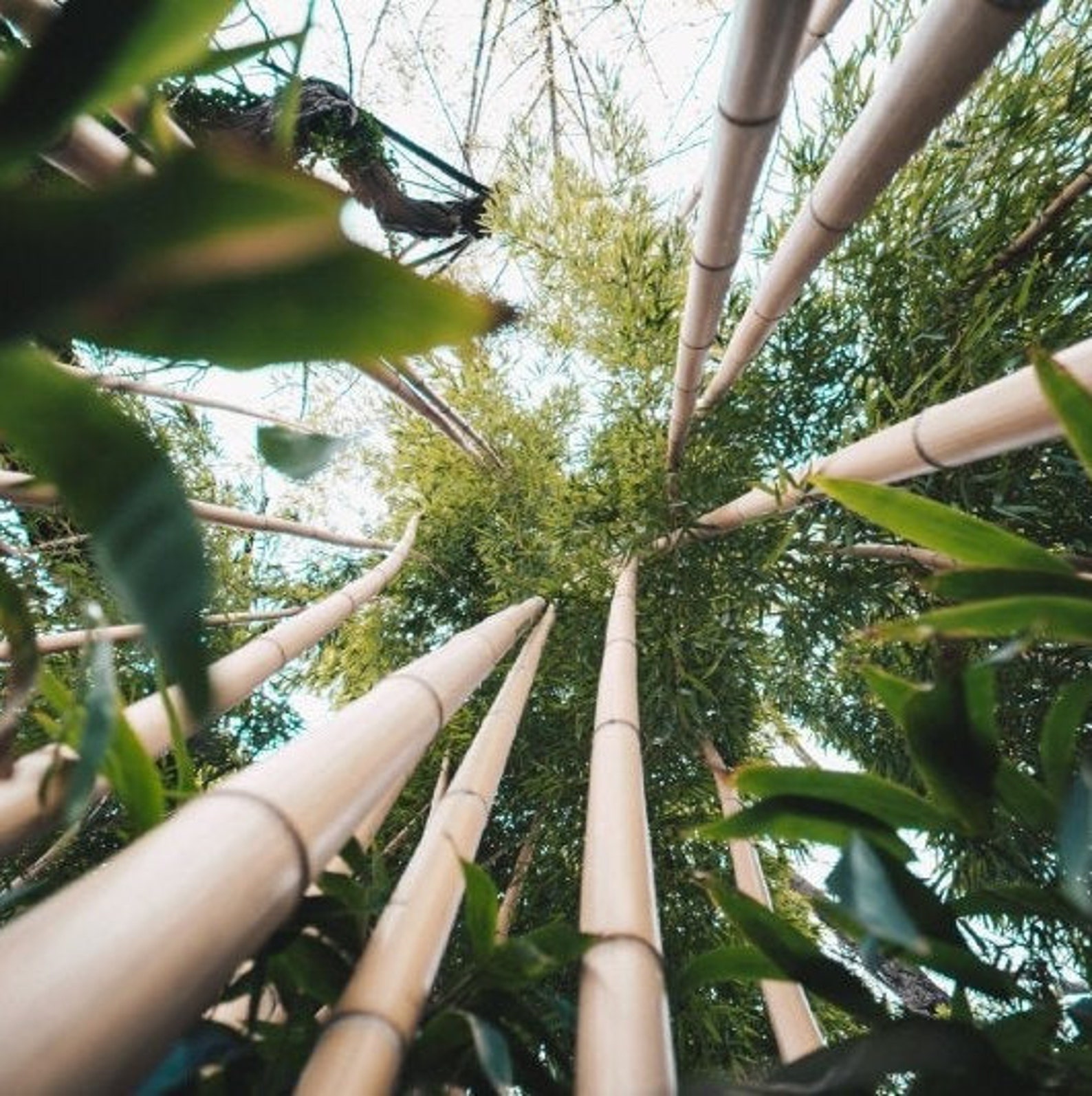 Bamboo Lyocell Pillowcase Set of 2 for Hair & Skin Etsy