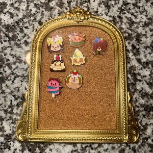 PIN DISPLAY | VINTAGE frame pin display