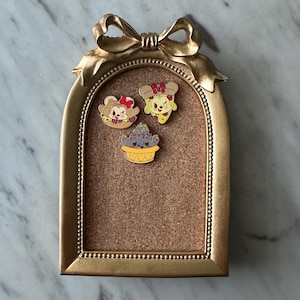 Vintage Pin Display Frame: Collectible Pin Board (4x6)