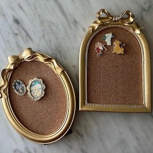 PIN DISPLAY | VINTAGE frame pin display