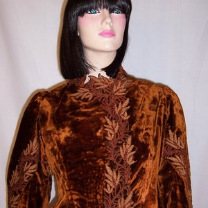 May include: A brown velvet jacket with intricate gold embroidery. The jacket has a high neckline and long sleeves. The embroidery is in a floral pattern.