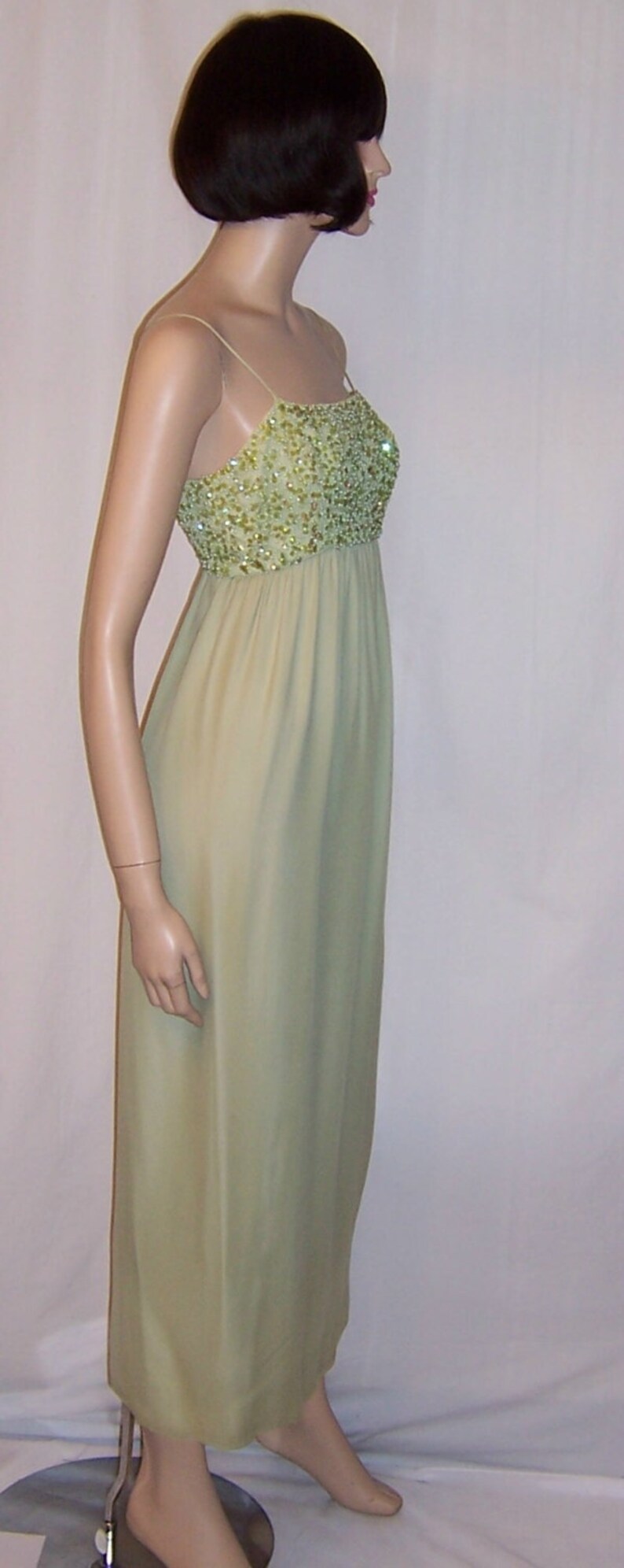 Pale Green Chiffon Gown With Sequined and Beaded Bodice and Matching ...