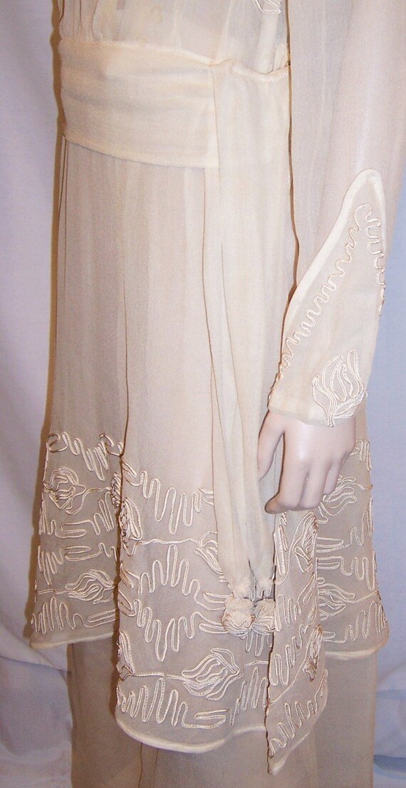 Edwardian Ivory Silk Chiffon Tea Gown in the Arts… - image 4