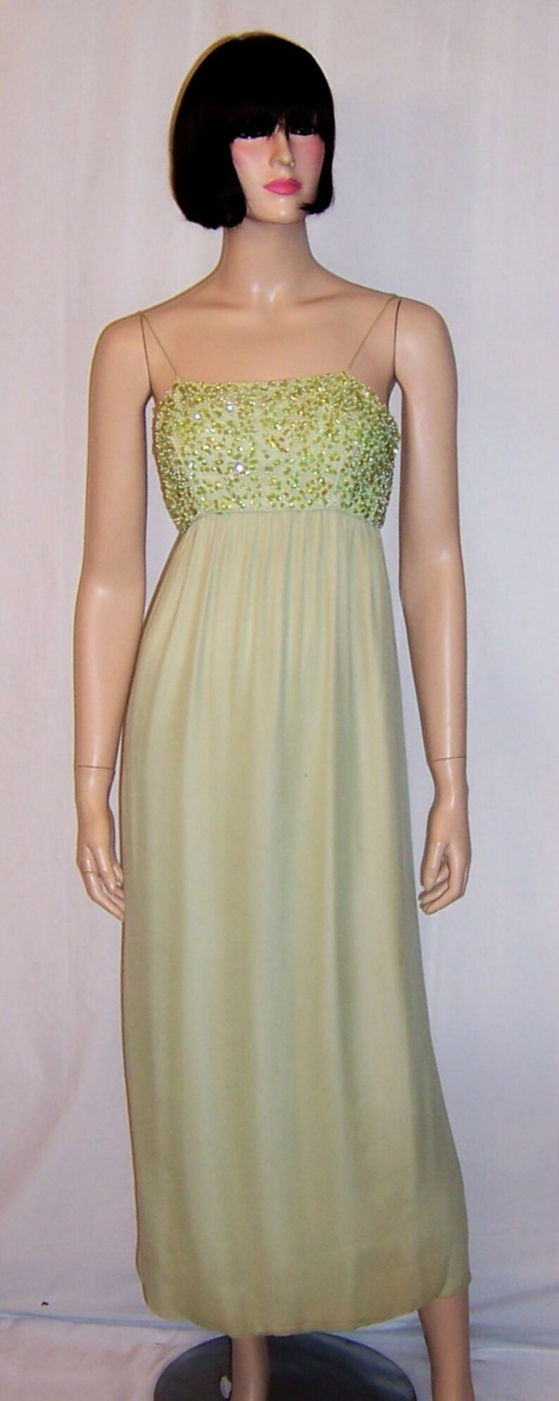 Pale Green Chiffon Gown With Sequined and Beaded Bodice and Matching ...