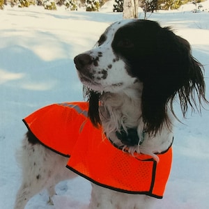 Dog Safety Vest