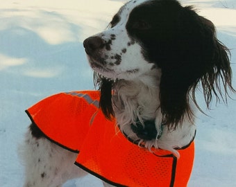 Dog Safety Vest