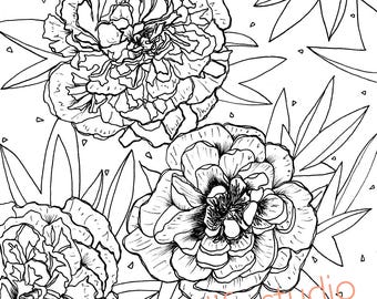 peony coloring page etsy