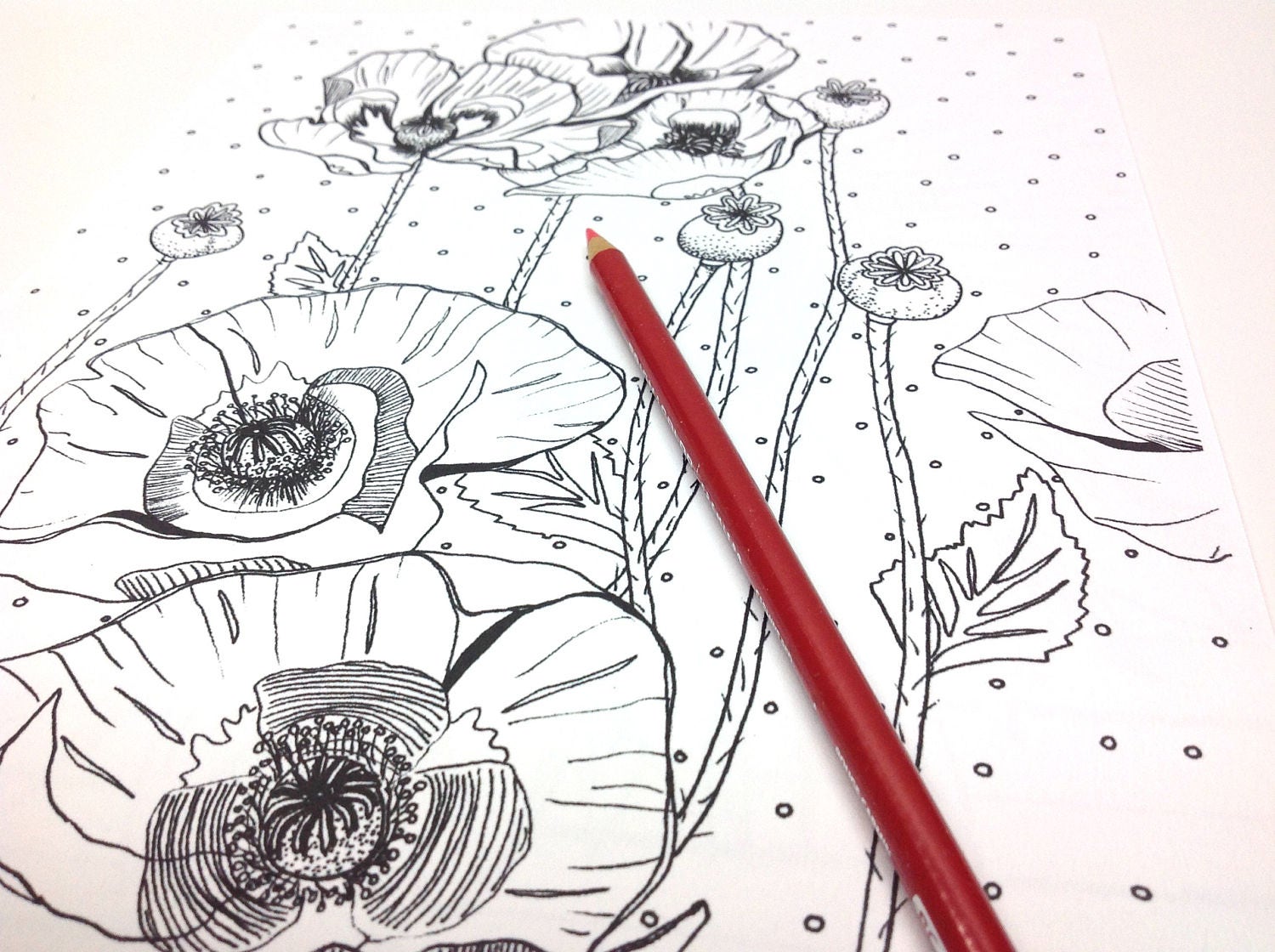 Download Poppy Coloring Page Adult Coloring Book Flower Coloring Etsy