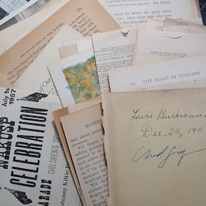 Vintage Book Pages Grab Bag | Junk Journaling Supplies | Vintage Paper Ephemera
