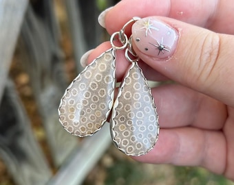 Brincos de argola com coral fossilizado - Brincos pendentes em prata de lei com pingente de coral em formato de gota - Brincos pendentes de coral fossilizado - Brincos de argola com coral fossilizado